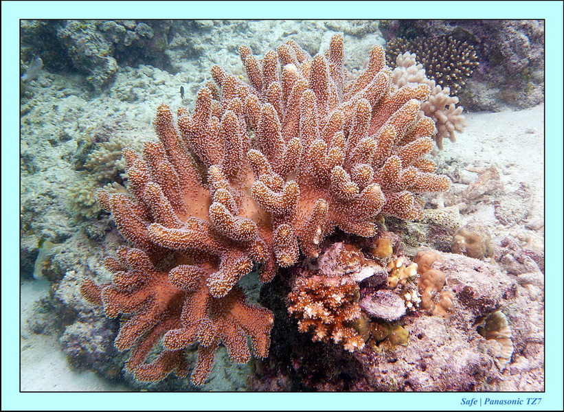 2011 - 08 - Bohey Dulang Island 07